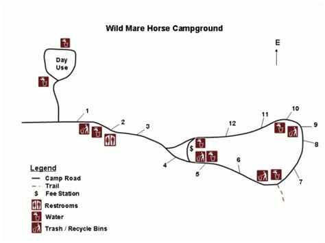 wild mare horse camp|siuslaw national forest horse trail.